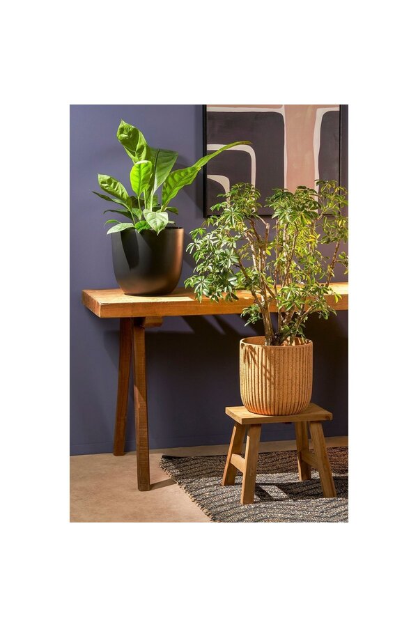 Mutiger Holzhocker – L38 x B29 x H34 cm – recyceltes Holz – Braun