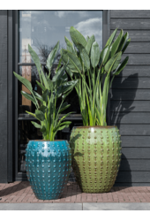 Laos Emperor Ocean Blue