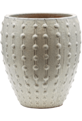 Laos Mini Emperor Cream