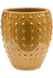 Laos Mini Emperor Ochre