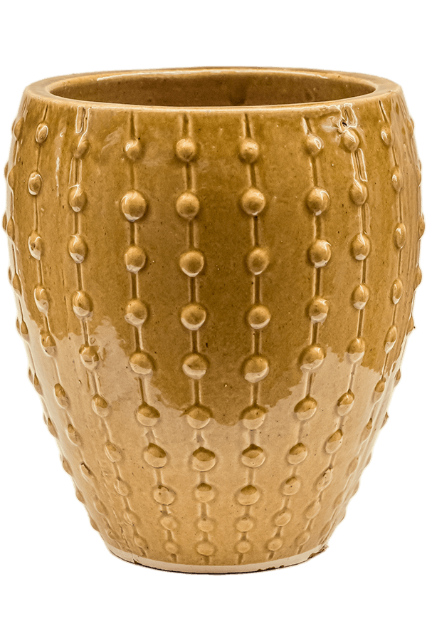 Laos Mini Emperor Ochre