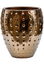Laos Mini Empereur Ocre