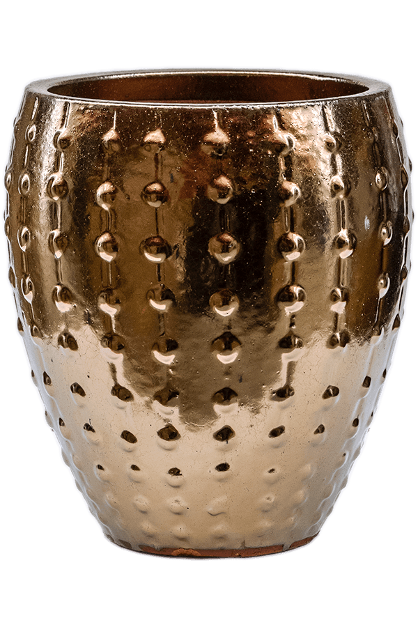 Laos Mini Emperor Ochre