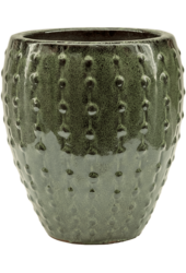 Laos Mini Emperor Ochre