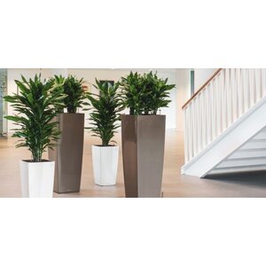 Plant- en pot bundels