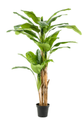 Bananenplant kunstplant  - sale