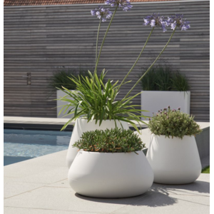 Buitenplant in pot Elho