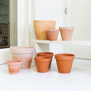 Terracotta