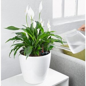 Zelf watergevende bloempotten