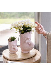 Orchidées Kolibri | Orchidée blanche 'Nazaré' + Pot poisson rose - Taille du pot Ø9cm | Plante d'intérieur fleurie – fraîchement de l'horticulteur