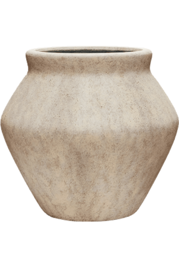 Yucca in Mineral pot