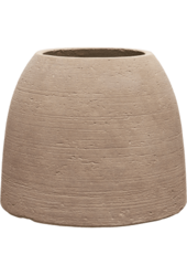 Monstera in Colorado