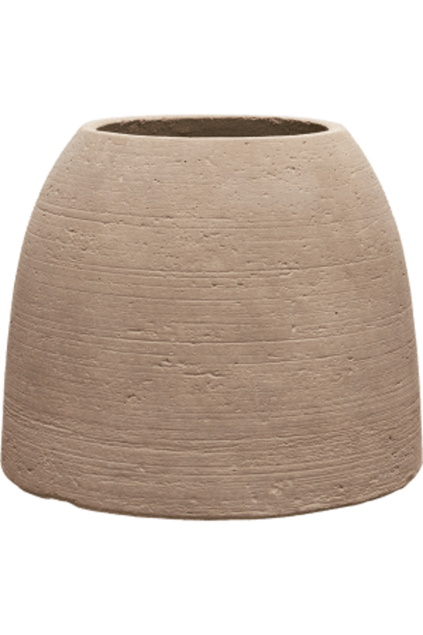 Monstera in Colorado