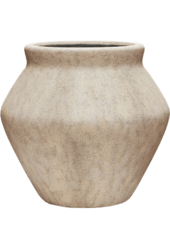 Ficus lyrata in Mineral