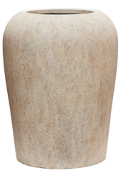 Kentia in Mineral pot