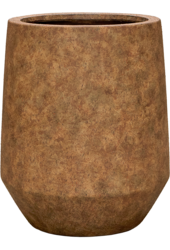 Kentiapalm in Mineral pot