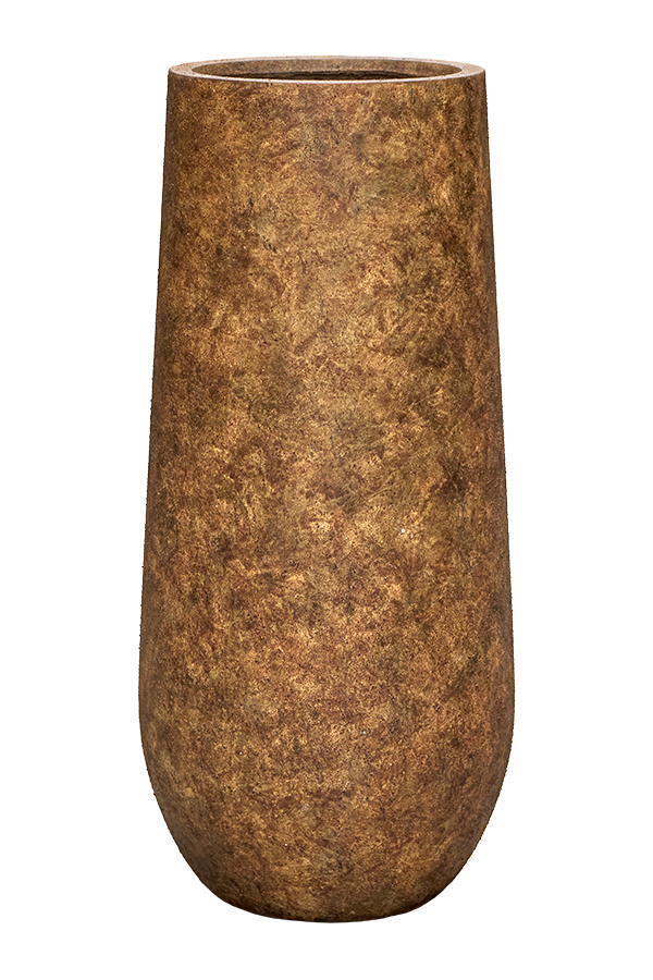 Kentiapalm in Mineral vaas