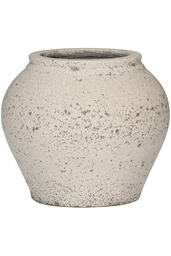 Kentia en Méditerranée