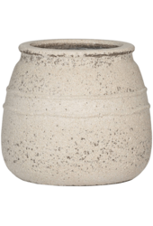 Strelitzia en Méditerranée