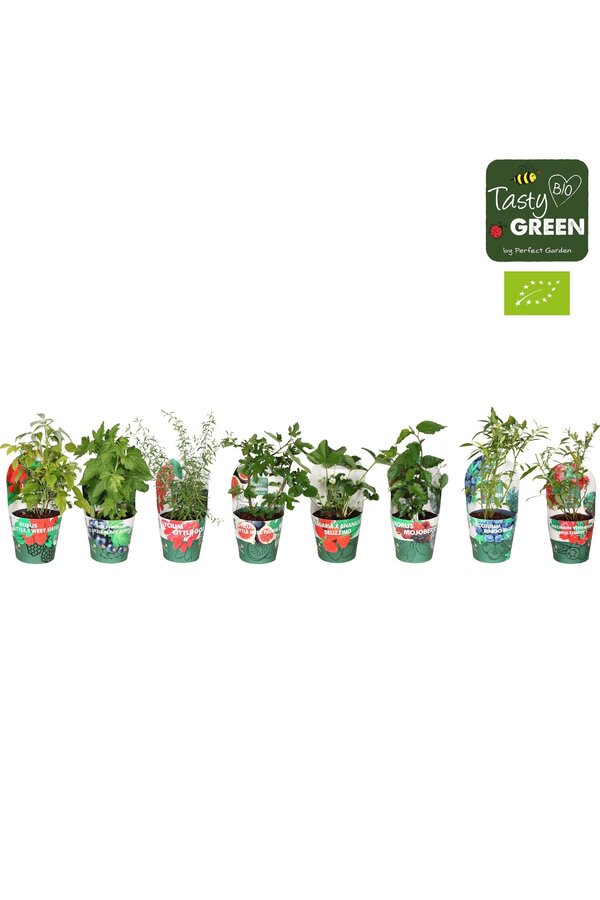 Fruit mix tray potcover Bio P14