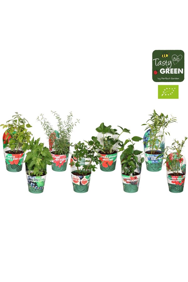 Fruit mix tray potcover Bio P14