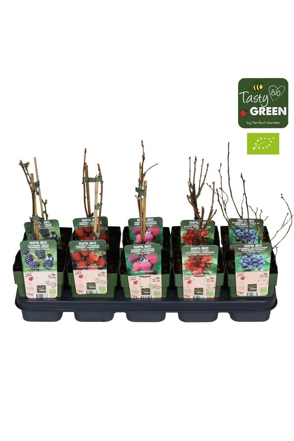 Fruit mix tray bio standaard P13