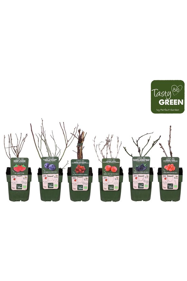 Fruit mix tray bio standaard P13