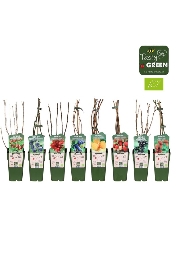 Fruit mix tray bio standaard P15