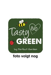 Morus nigra Mulle Bio P23