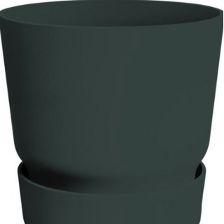 Groene bloempot