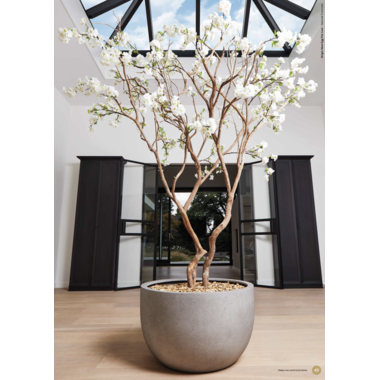 Afbeelding 6 kunstplanten