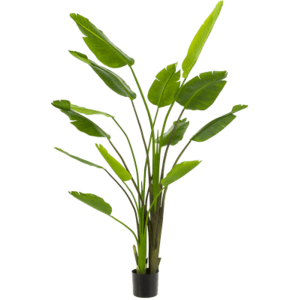 Kunstplanten Sale