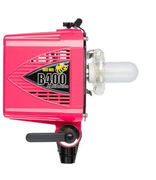 AlienBees Flash Unit B400