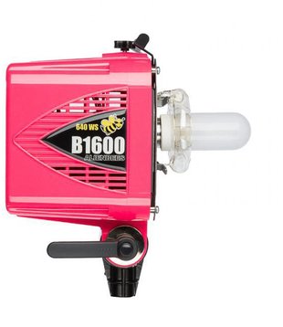 AlienBees Flash Unit B1600