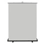 Walimex pro Roll-up paneel achtergrond grijs 155x200 Demo