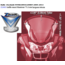 ZTECHNIC-VSTREAM R1200RT screen Vstream 71,1 x 66cm