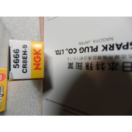 NGK  spark plugs NGK 5666 CR8EH9