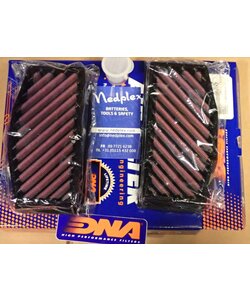 R1300GS DNA filter