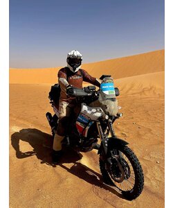 Tshirt Cross Nedplex  chocolat/créme