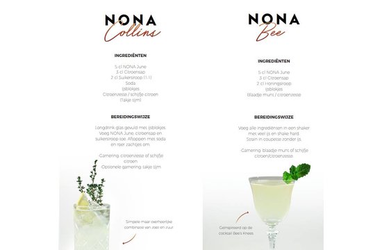 Nona June alcoholvrije spirit 0.7L
