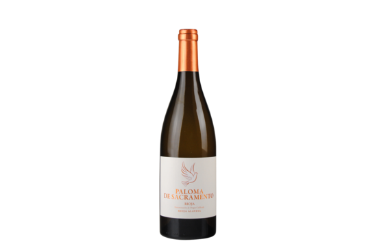 Paloma de Sacramento Rioja