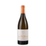Paloma de Sacramento Rioja