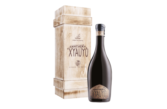 14° Birra Baladin birra xyauyu kentucky 0.5L