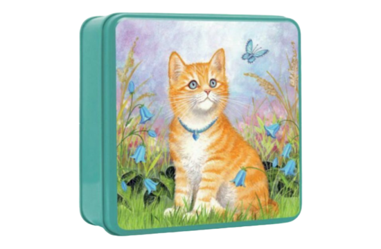 Embossed Tabby Cat With Butterfly Tin 100 gram