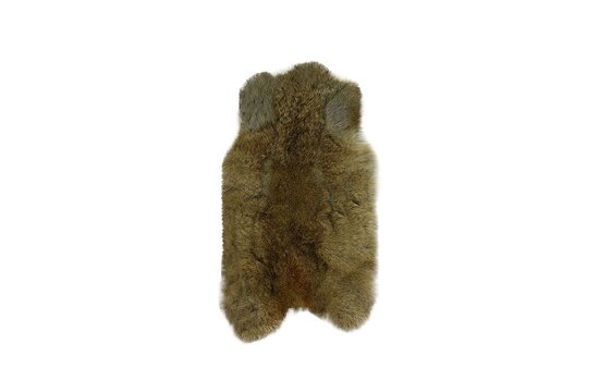 Vacht konijn bruin