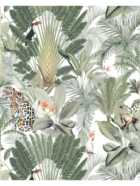 Creative Lab Amsterdam Into the Wild Wallpaper on roll