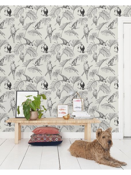 Creative Lab Amsterdam Tropic Tucan Wallpaper