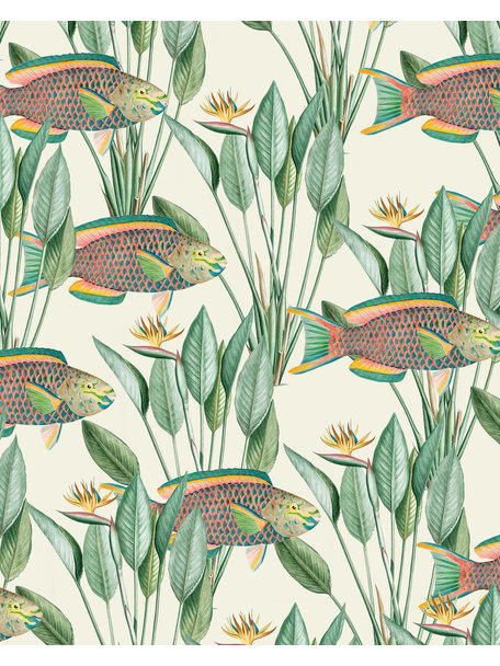 Creative Lab Amsterdam Parrot Fish Wallpaper