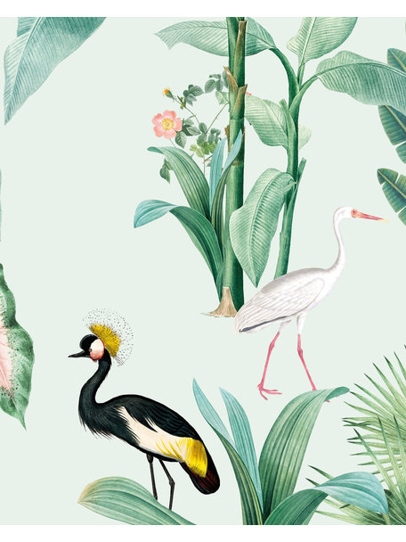 Creative Lab Amsterdam Pelican Wallpaper