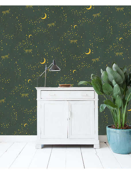 Creative Lab Amsterdam Stargazer Wallpaper